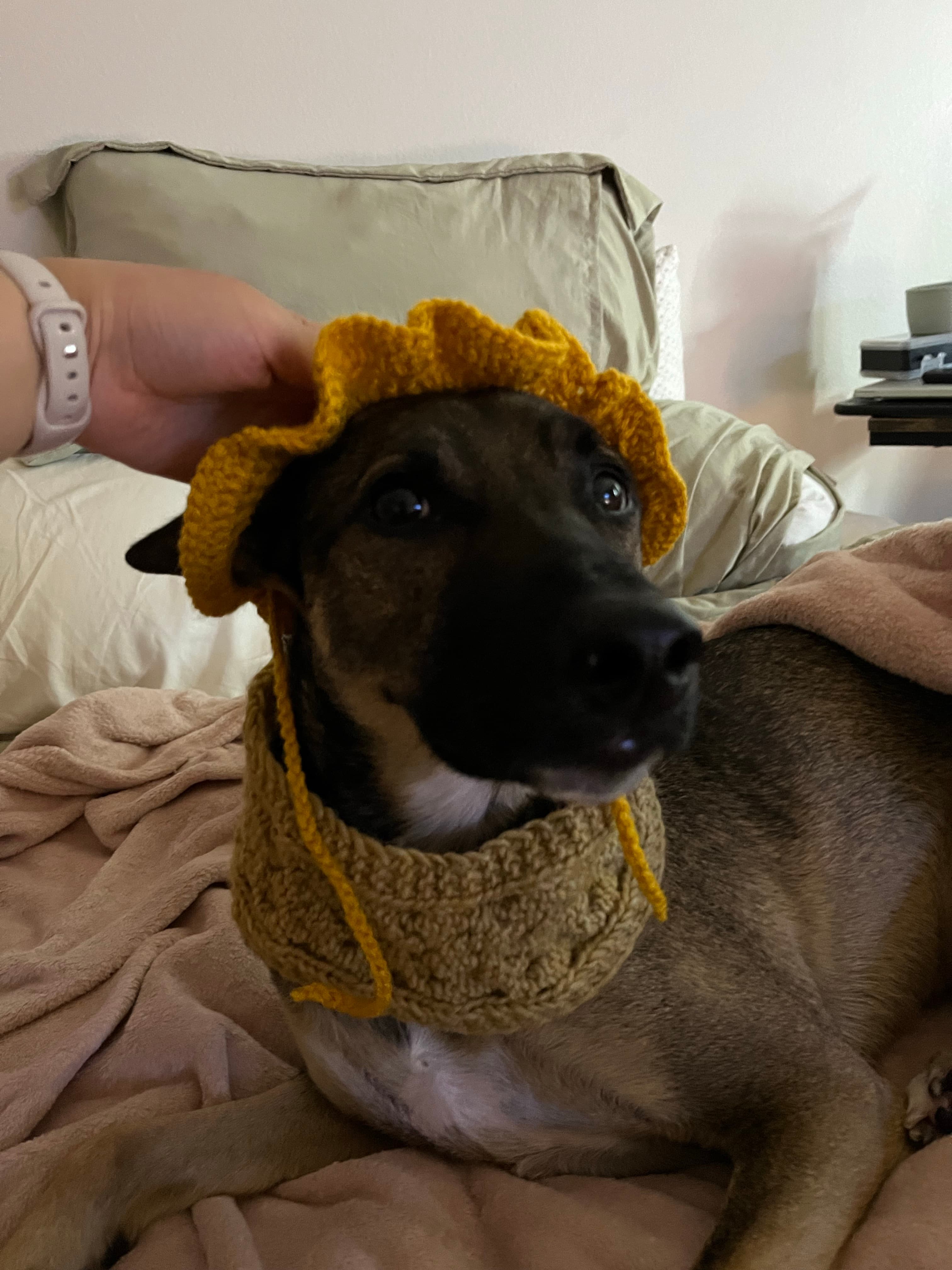 Luca wearing a yellow crochet hat and a tan crochet cowl
